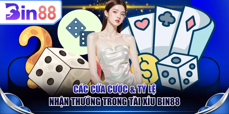 Các cửa cược & tỷ lệ nhận thưởng trong Tài Xỉu BIN88
