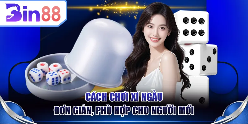 Cách chơi Xí Ngầu đơn giản, phù hợp cho người mới