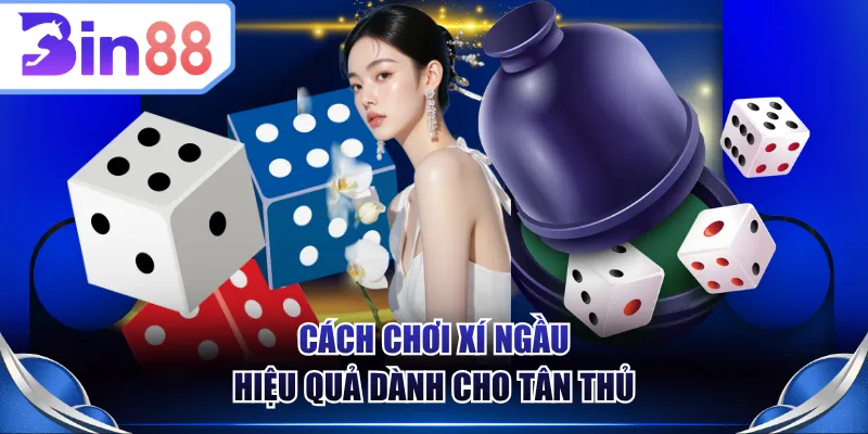 Cách chơi Xí Ngầu hiệu quả dành cho tân thủ