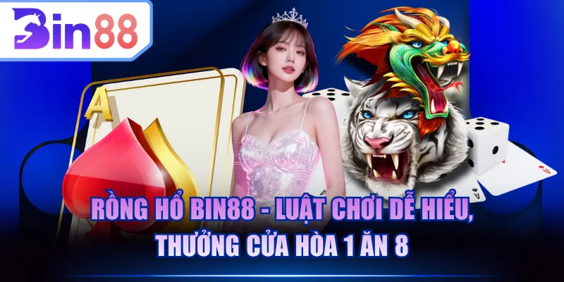 Rồng Hổ BIN88
