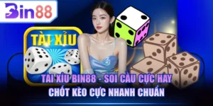Tài Xỉu BIN88