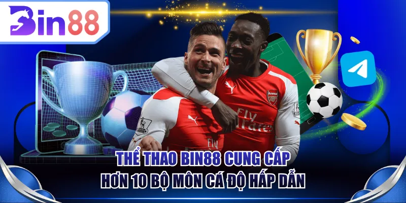 Thể thao BIN88 cung cấp hơn 10 bộ môn cá độ hấp dẫn